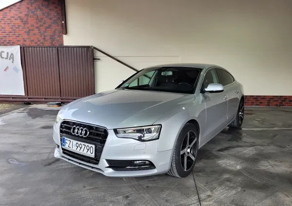 audi Audi A5 cena 53900 przebieg: 245000, rok produkcji 2012 z Głuchołazy